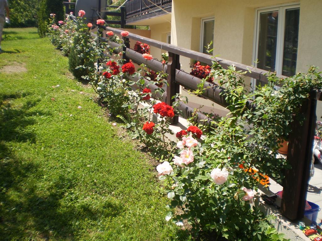 Apartments Vila Velickovic Zlatibor Exterior photo